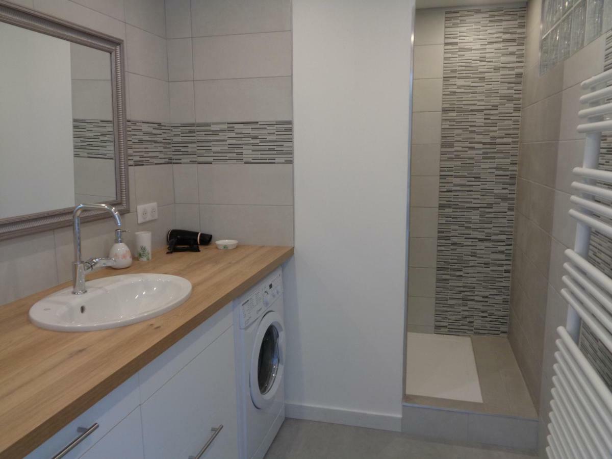 Appartement Independant Le Panassa, Centre Ville, Garage Prive 圣艾蒂安 外观 照片