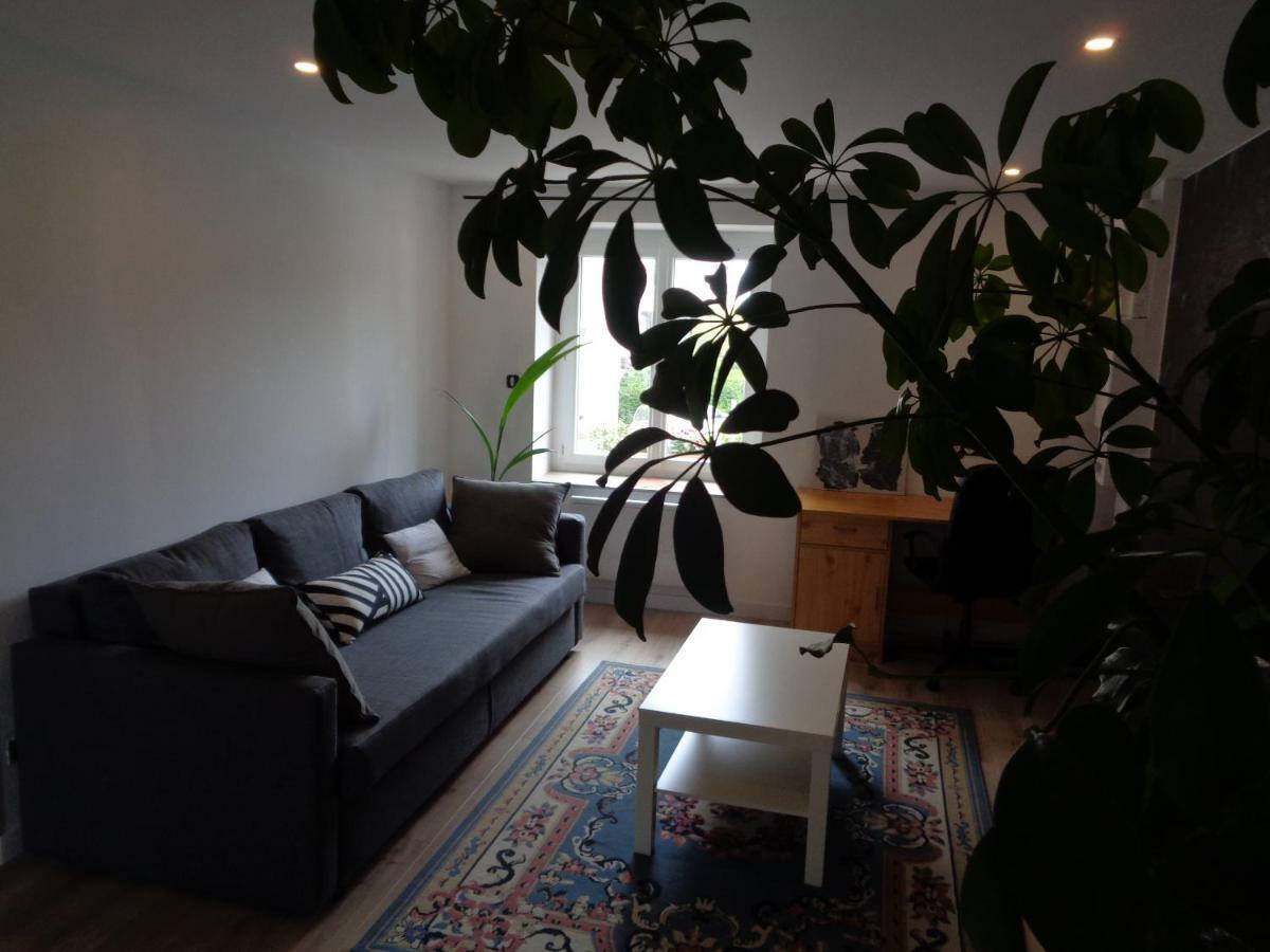 Appartement Independant Le Panassa, Centre Ville, Garage Prive 圣艾蒂安 外观 照片